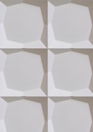 Geo1Panelb
