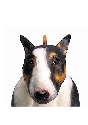 boris-H image
