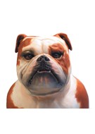 Patch