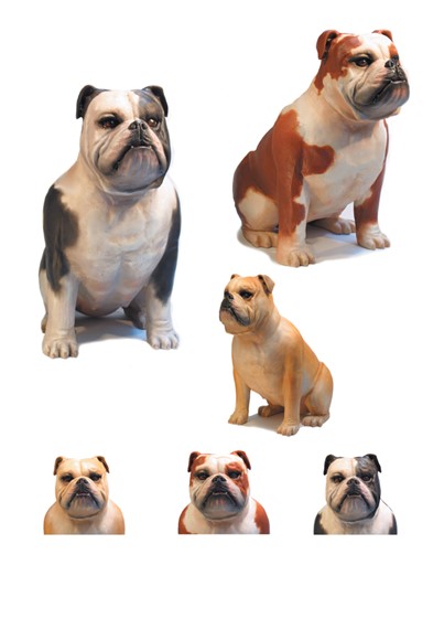 Bulldog image