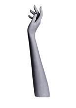 DLH1R F image