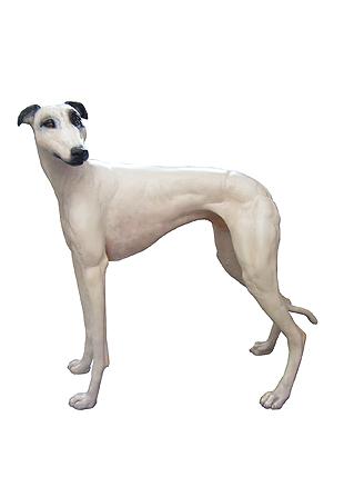 GREYHOUND C image