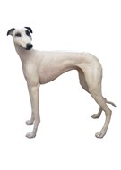 GREYHOUND C