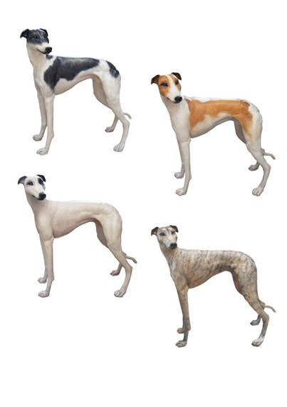 Greyhound image