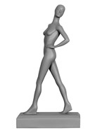 MINIFL1