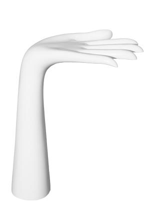 SL2L image