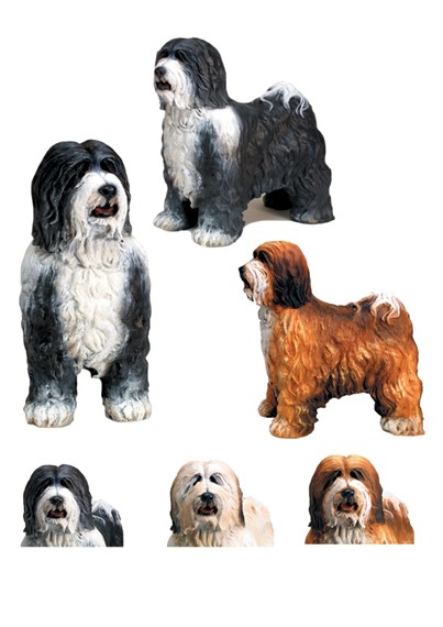 Tibetan Terrier image