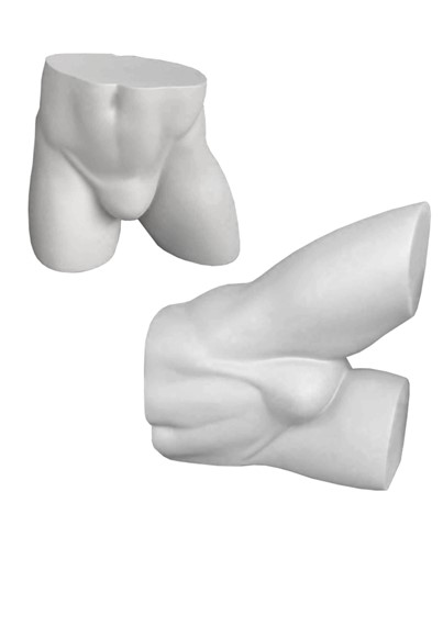 Body Forms image