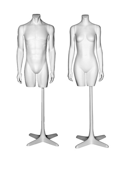 Evo Torso image