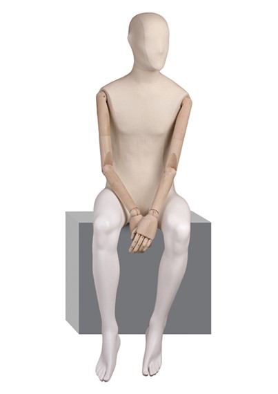 MEM 3 image