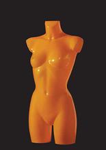 TYPE1_OR_O image