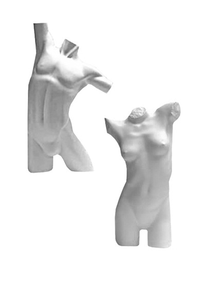 Body Forms image