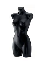 PT1 image