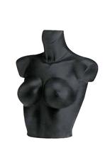 PT13 image
