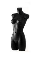 PT9 image