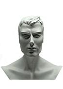 Option HEAD-QMR image