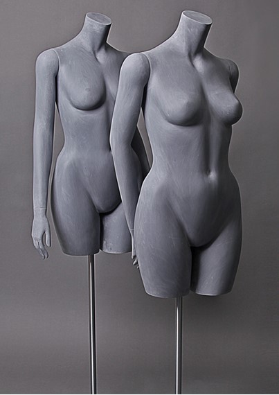 Project Plus Torsos image