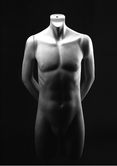 Simply Torsos image