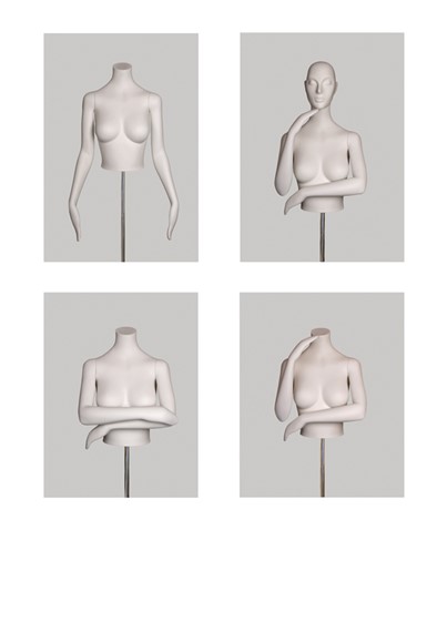 Solar Torsos image