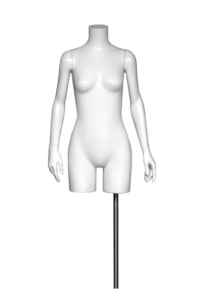 DPT1 image