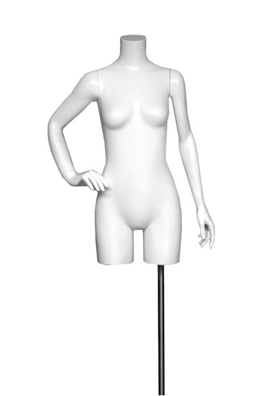DPT2 image