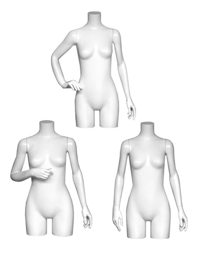Torso-2 image