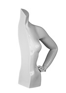 WFT GS 1/2 L