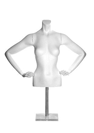 WFT GS Arms image