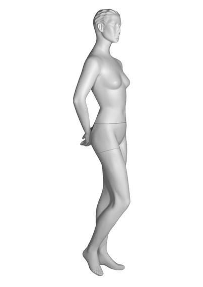 BS4 image