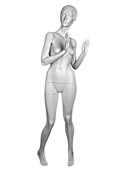 DL12 image