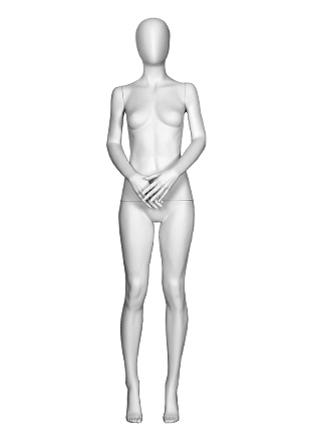 T1-3 image
