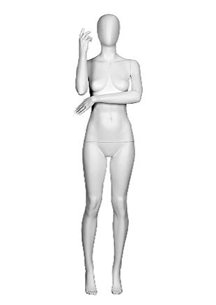 T1-5 image