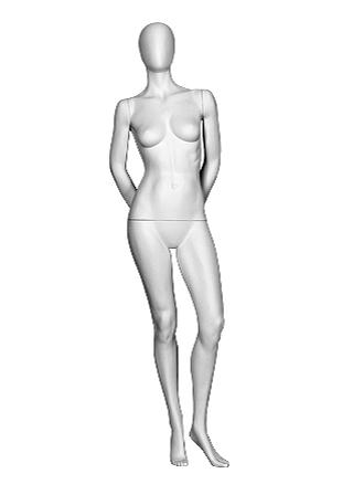 T3-1 image