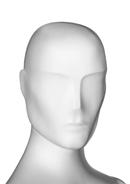 Option SM2_H image
