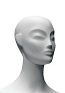Option SLPH1 image
