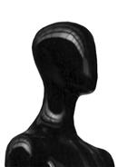 Option SLPH2 image