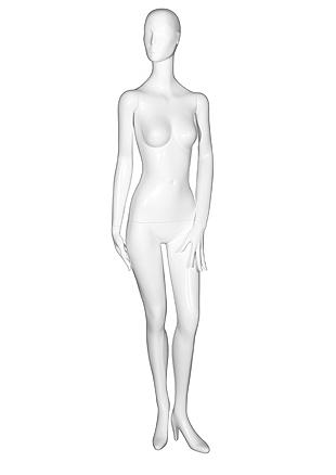 SL1 image