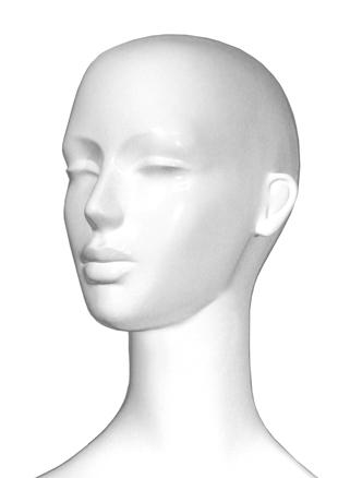 SL2_H image