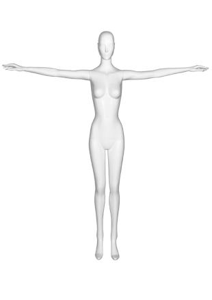 SL3 image