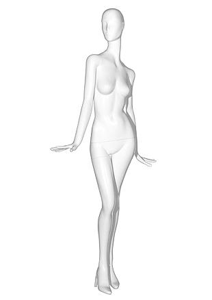 SL5 image