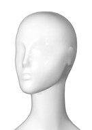 SL5_H