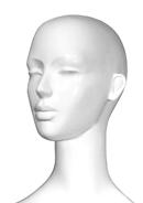 Option SL2 HEAD image