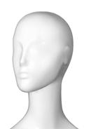 Option SL5 HEAD image