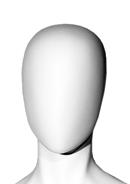 Option T6 HEAD image