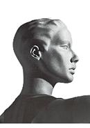 Option Head-SFA image