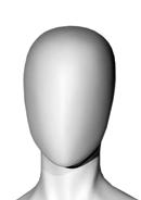 Option T6 image