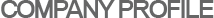 Company profile button