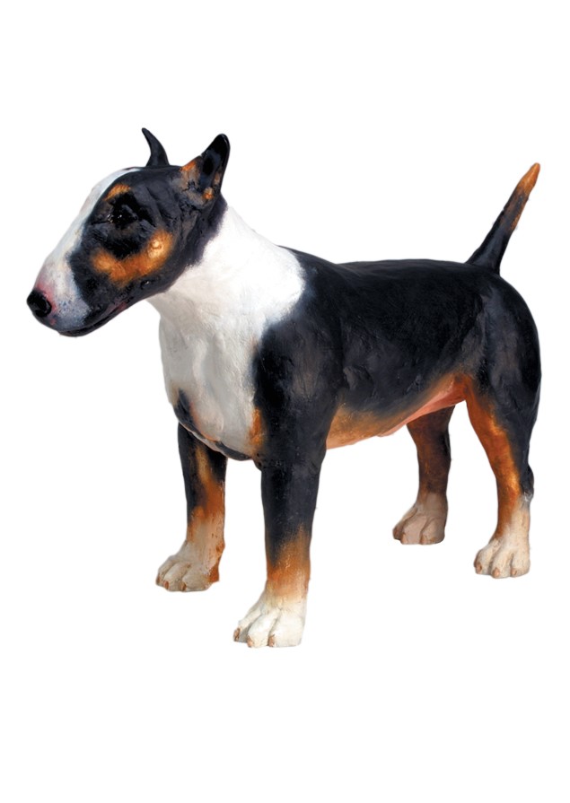 Bull Terrier