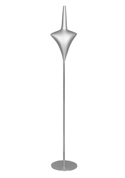 NS1 image