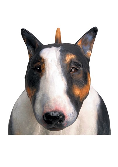 boris-H image